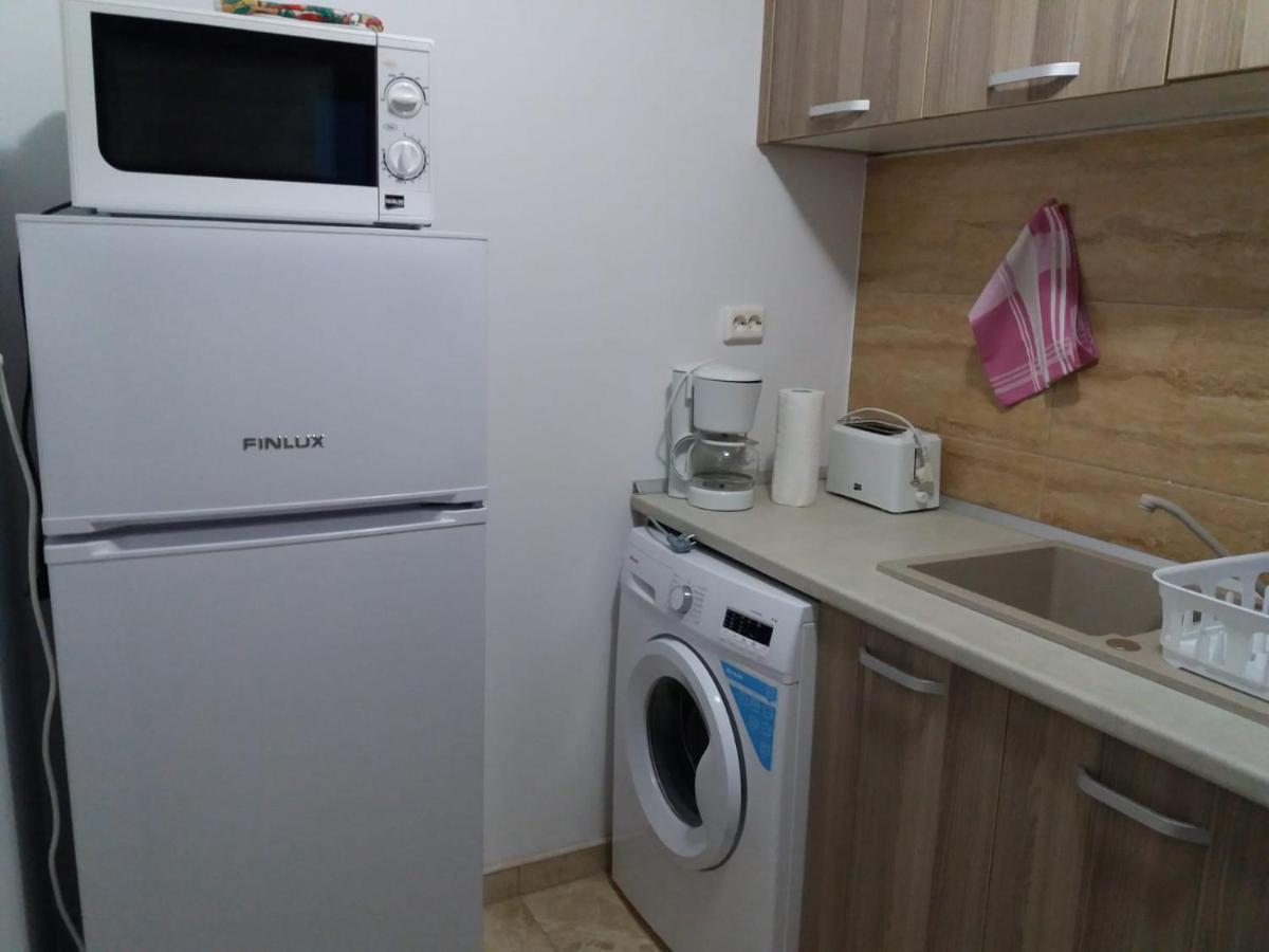 Garsoniera Bibi Nord Apartment