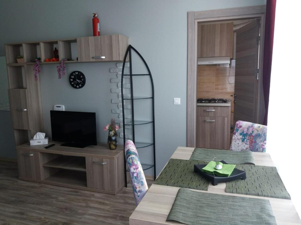 Apartment Garsoniera Bibi Nord *