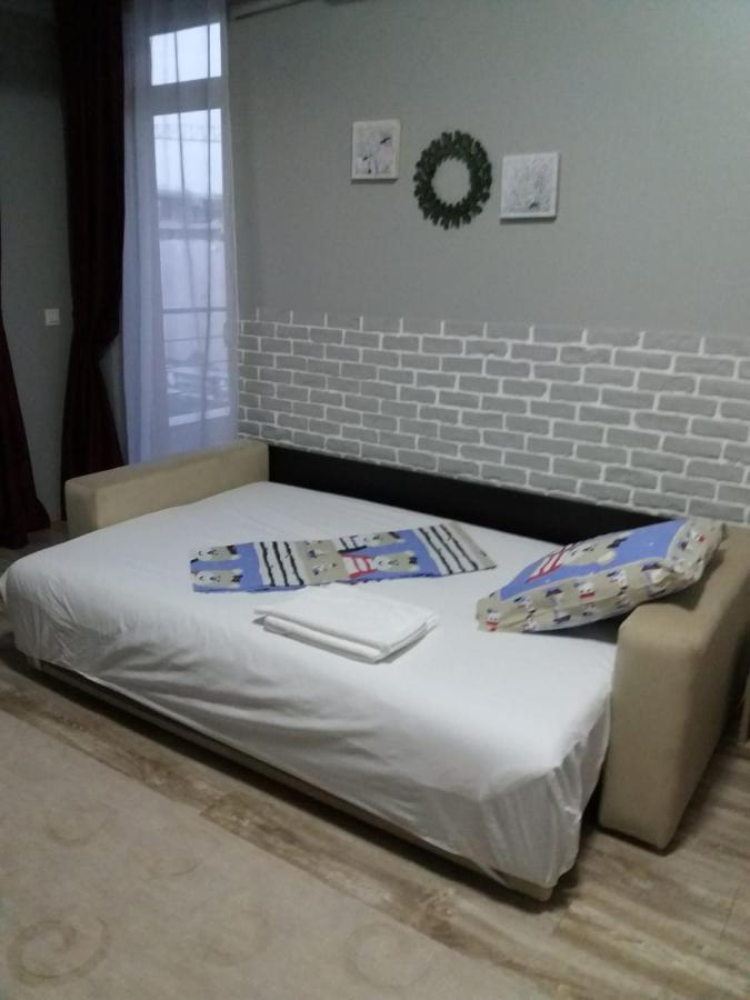 Apartment Garsoniera Bibi Nord *