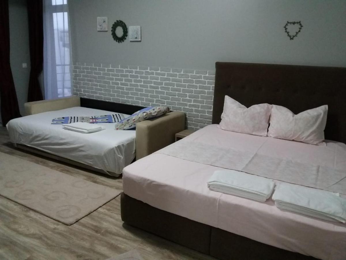 Garsoniera Bibi Nord Apartment *