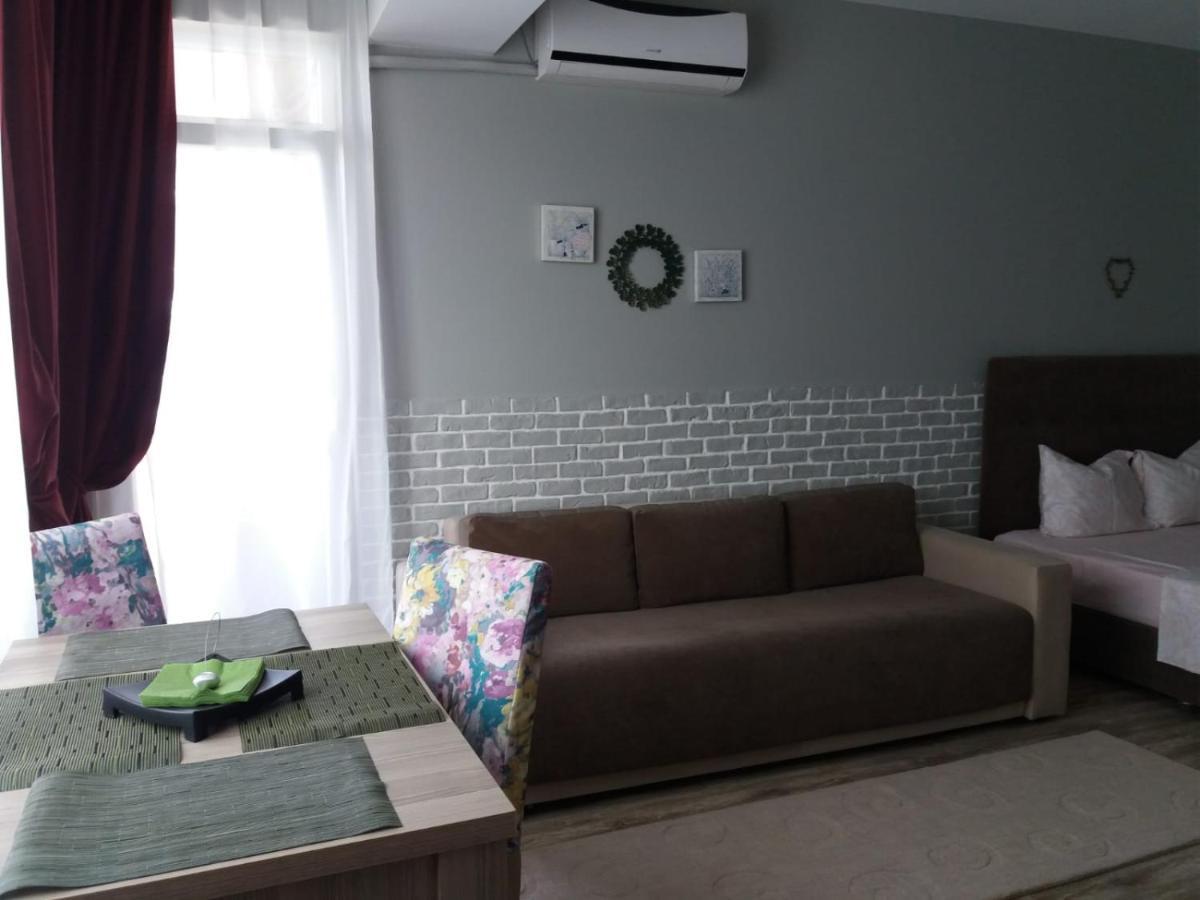 Apartment Garsoniera Bibi Nord